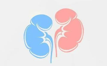 肾内科医师年度总结8篇
