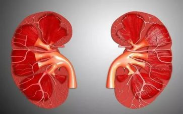 肾内科医生述职报告优秀5篇