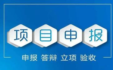 申报小一述职报告模板8篇