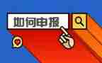 申报小一述职报告推荐5篇