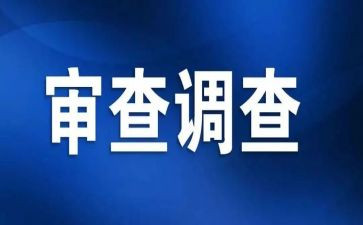 审查调查安全心得体会5篇
