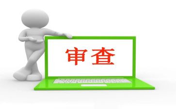 审查调查的心得8篇