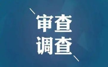 审查调查工作心得7篇