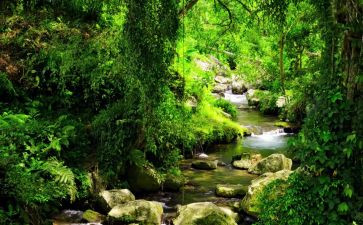 那深处的作文推荐6篇