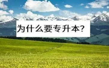 专升本个人自我鉴定模板5篇