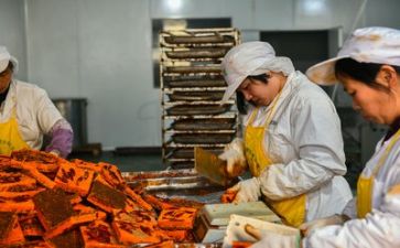 安全生产类述职报告7篇