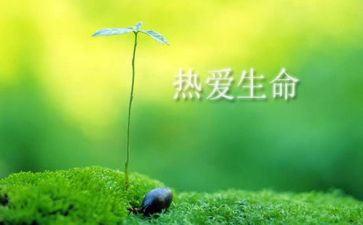 珍爱生命,预防溺水的作文5篇