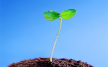 注意安全珍爱生命演讲稿7篇