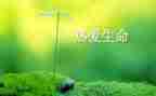 珍爱生命,预防溺水的作文5篇