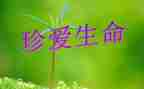 生命优秀作文优质6篇