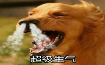 她生气了作文推荐8篇