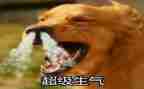 她生气了作文推荐8篇
