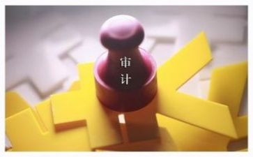 2024审计工作报告精选8篇