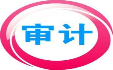 审计局年度工作报告7篇