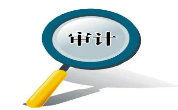 市审计局审计工作报告8篇