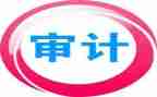 审计局年度工作报告7篇