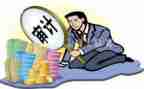 审计半年度总结精选8篇