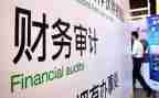 2023年审计暑审计工作报告精选6篇