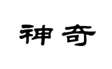 种神奇植物作文5篇