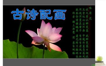 诗与生活演讲稿优秀7篇