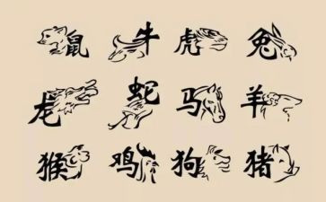 十二生肖的作文6篇