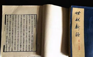 《世说新语》的读后感通用6篇