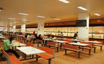 2024年职工食堂工作总结5篇