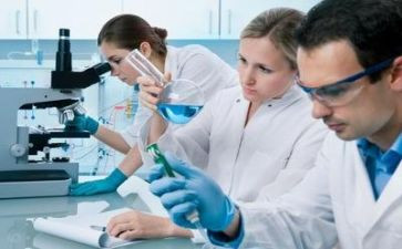 实验个人总结最新5篇