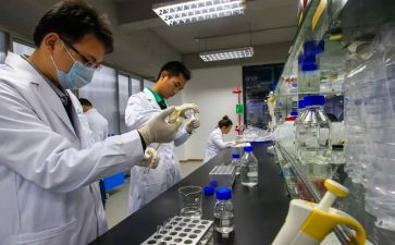 试验检测员个人总结6篇