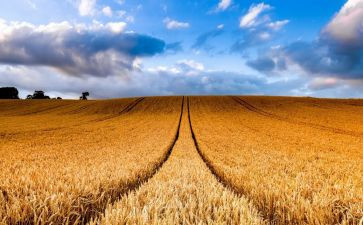 成长收获演讲稿6篇