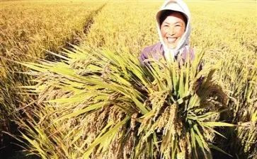 我收获了成长作文8篇