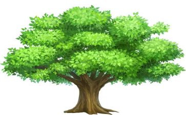 植树节小作文300字7篇