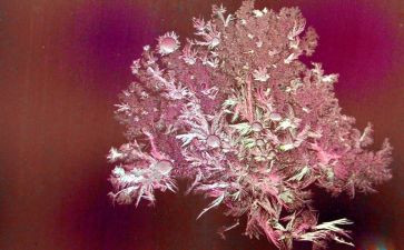 儿童霜的活动方案推荐6篇