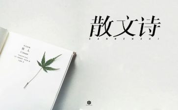 雪抒情作文600字优秀5篇