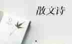 雪抒情作文600字优秀5篇