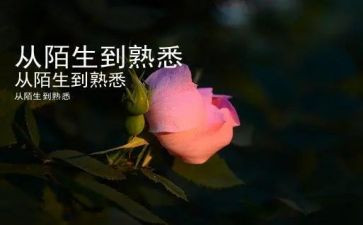 熟悉的人600字初中作文8篇