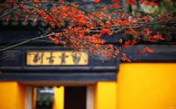 2023年寺管会工作计划5篇