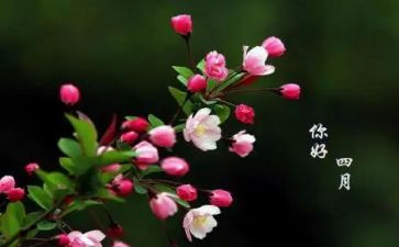 四月周工作总结参考6篇