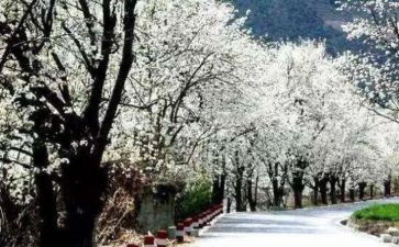 教师四月份工作计划8篇