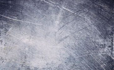 母素材子作文通用5篇