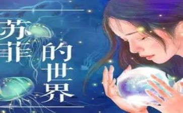 苏菲的世界读后感优秀5篇