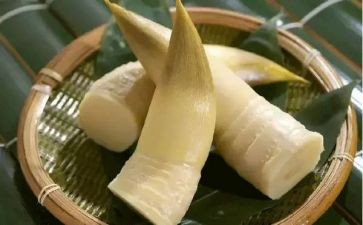 有关笋的作文通用7篇