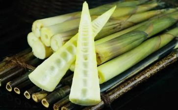 有关笋的作文7篇