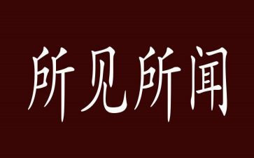 春节的所见所闻作文7篇