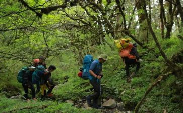 探险之旅500字作文5篇