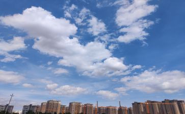 看天空之城观后感优秀7篇