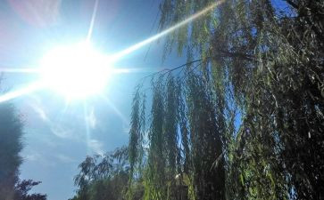 天气预报教案8篇