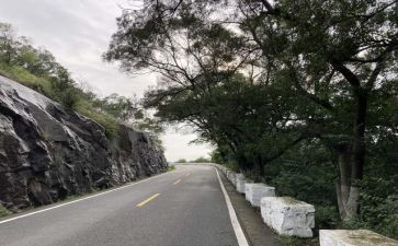 放慢脚步优秀作文7篇