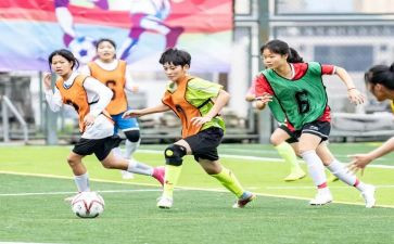 中学体卫工作计划5篇