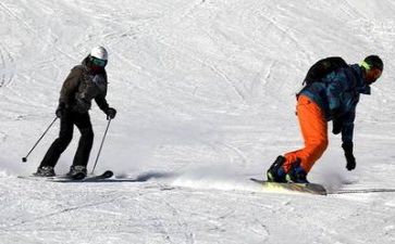 体育的个人总结模板5篇